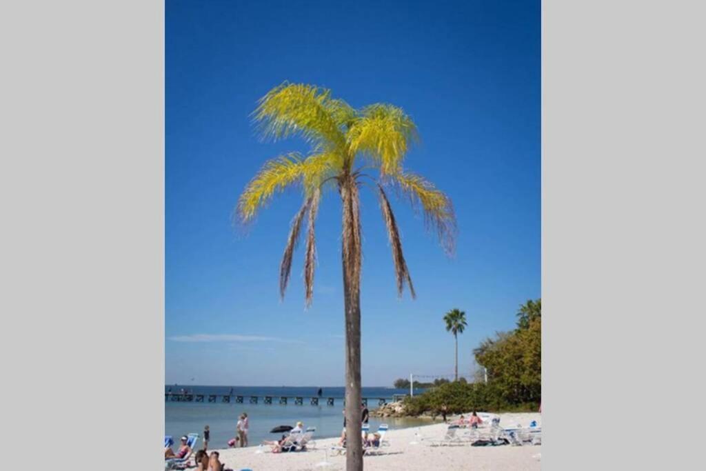 Manatee, Studio202, Beach Steps Away! Pool+Wifi Ръскин Екстериор снимка